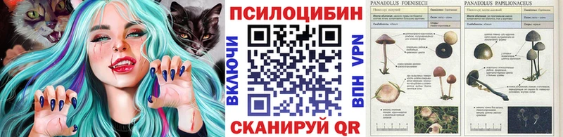 как найти закладки  Ярославль  Галлюциногенные грибы прущие грибы 